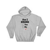 Am I Drunk Unisex Hoodie