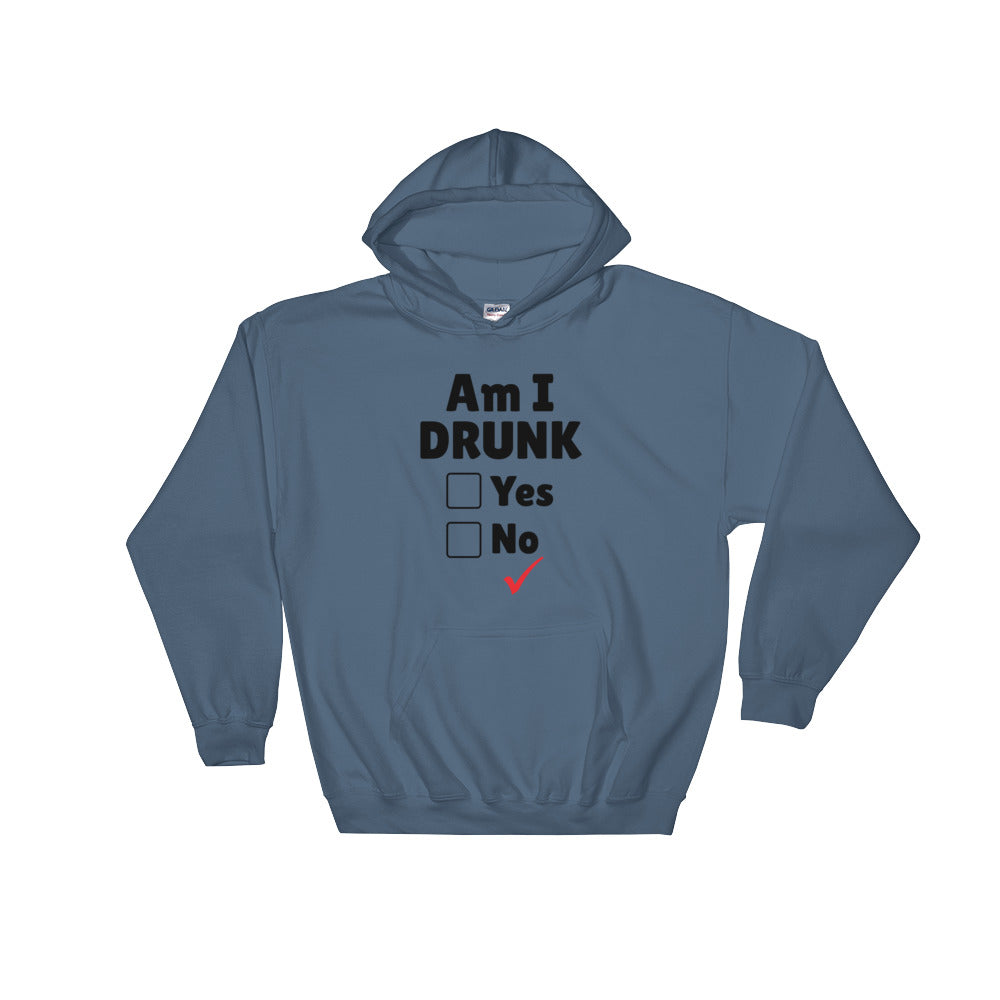 Am I Drunk Unisex Hoodie