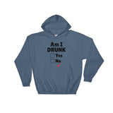 Am I Drunk Unisex Hoodie