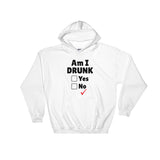 Am I Drunk Unisex Hoodie