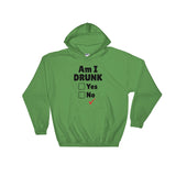 Am I Drunk Unisex Hoodie
