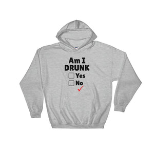 Am I Drunk Unisex Hoodie